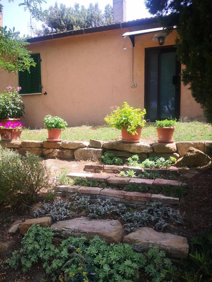 Podere Pini Magliano in Toscana Exteriör bild