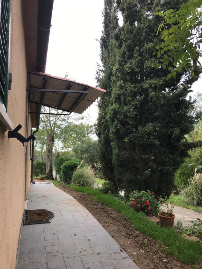 Podere Pini Magliano in Toscana Exteriör bild